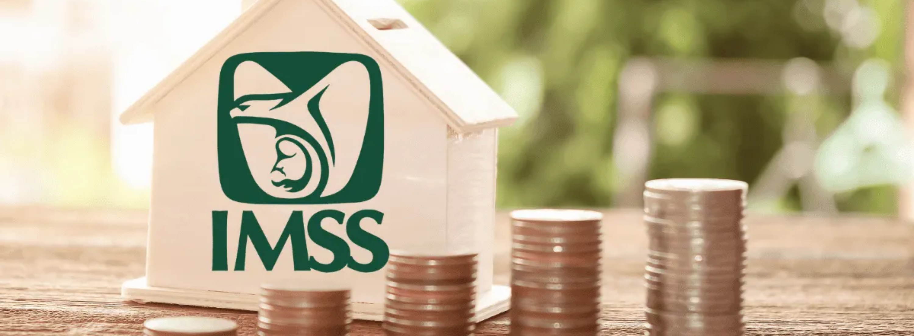 digitalización de trámites para pensionados IMSS