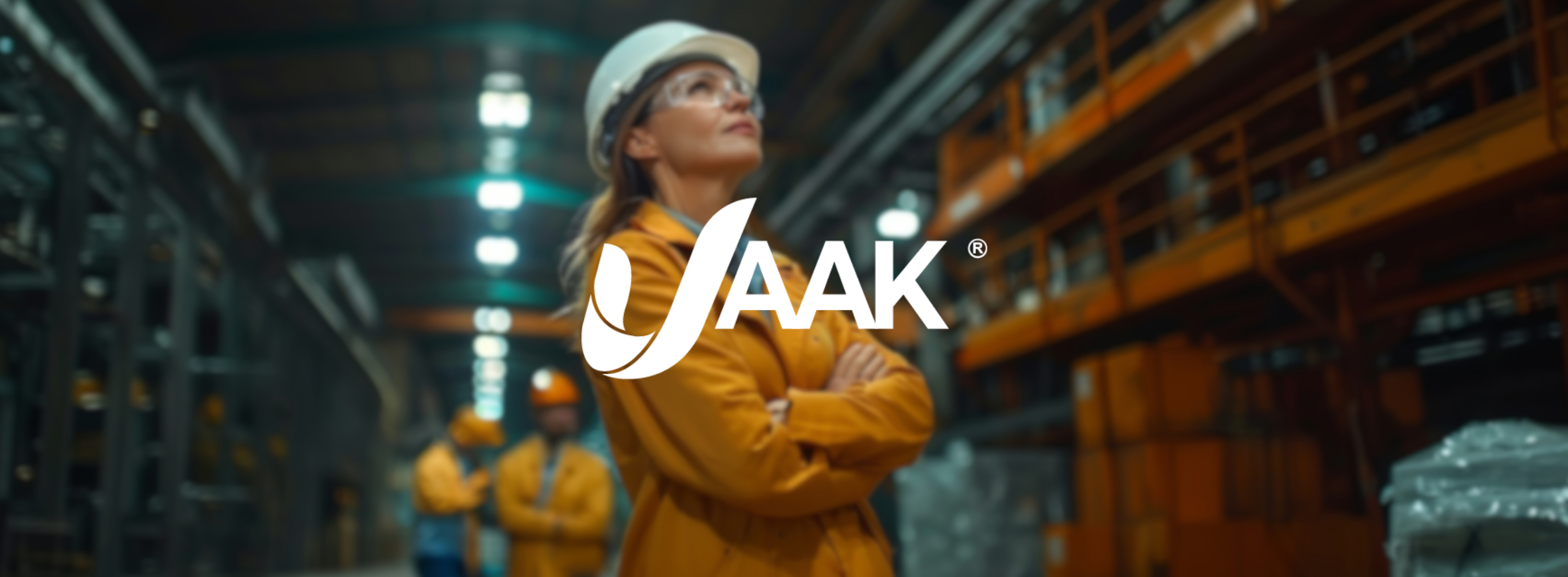 Interfaz de verificación JAAK